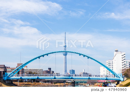 旧中川　ふれあい橋ごしに見る東京スカイツリー 47940960