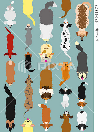 犬 シームレス 壁紙のイラスト素材 47941377 Pixta