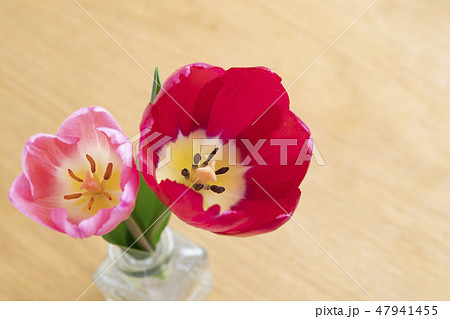 花瓶のチューリップ 47941455