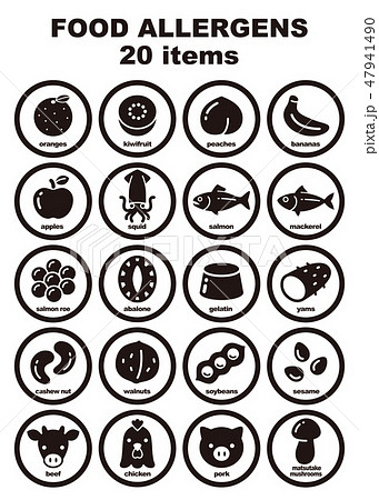 食物アレルギー誘発物質　20品目　アイコンイラスト 47941490