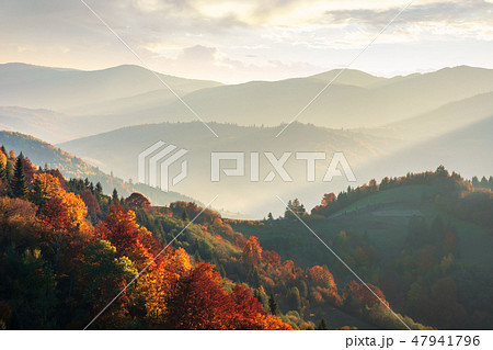 beautiful autumn landscape in mountains at sunset 47941796
