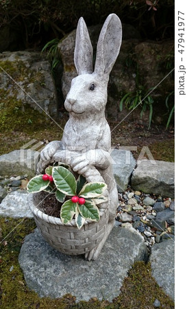 鎌倉　明月院 47941977