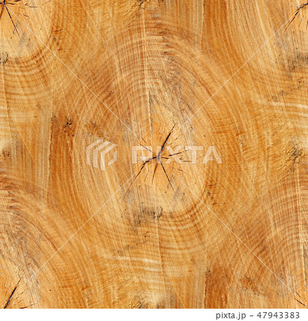 Cross section of trunk as a seamless background Cross section of trunk as a seamless background 47943383