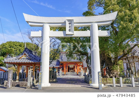八代神社 八代神社 47943485