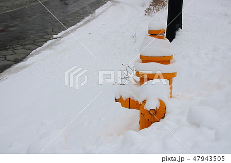 八幡坂の消火栓。北海道函館市。 47943505