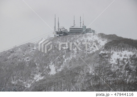 雪が降る日の函館山(御殿山)。 47944116