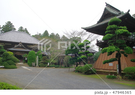 日本寺（千葉県多古町） 47946365