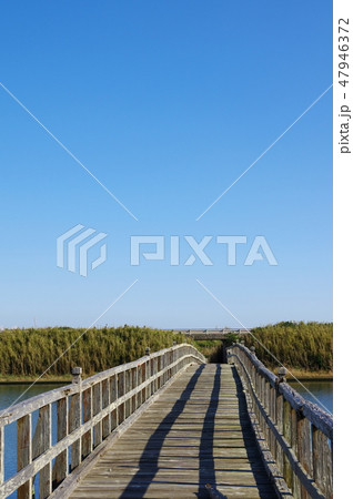 中瀬大橋(千葉県長生村) 中瀬大橋(千葉県長生村) 47946372