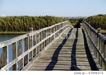中瀬大橋（千葉県長生村） 47946373
