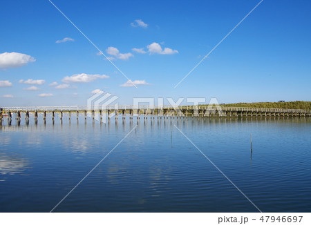 中瀬大橋(千葉県長生村) 中瀬大橋(千葉県長生村) 47946697