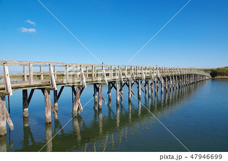 中瀬大橋（千葉県長生村） 47946699