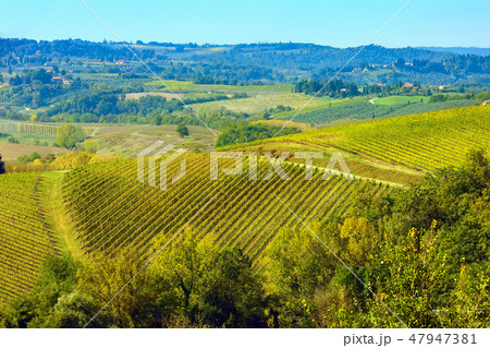 tuscany landscape with vineyards rows 47947381