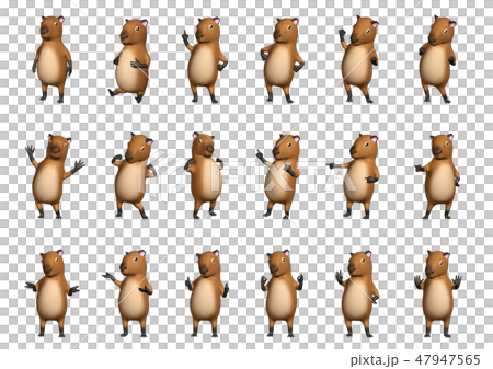 Capybara Pose Collection 01 47947565