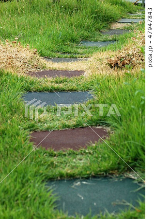 street grass street grass 47947843