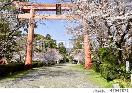 山口八坂神社の鳥居と遊具 47947871