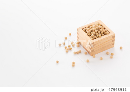 大豆 大豆 47948911