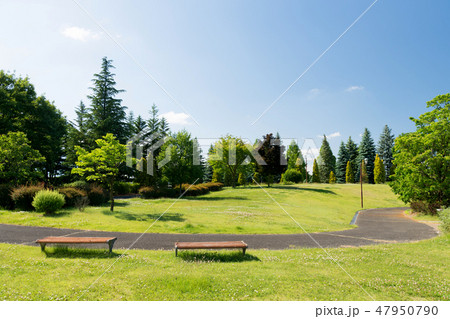 新緑の公園 47950790