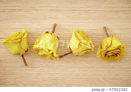 黄色い薔薇のドライフラワーの写真素材