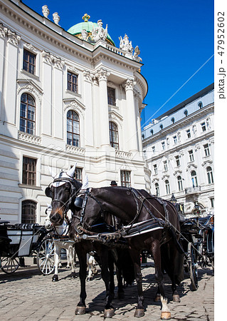 Horse-drawn carriages in front of the Hofburg 47952602
