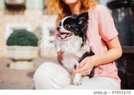 The theme is the friendship of man and animal. Beautiful young red hair Caucasian woman holding a 47953370