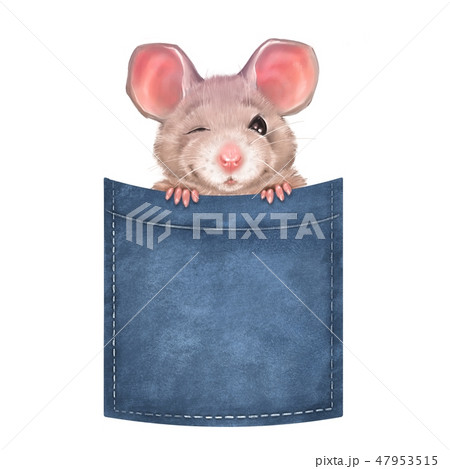 Cute mouse on pocket 2 Cute mouse on pocket 2 47953515