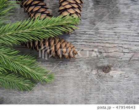 Coniferous trees on a wooden background. 47954643