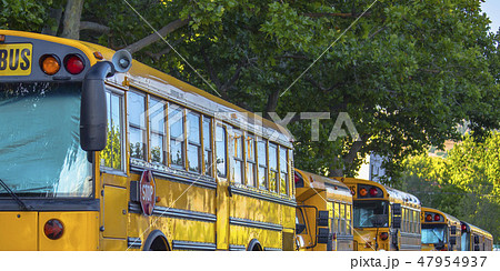 Row of school buses parked on the street 47954937