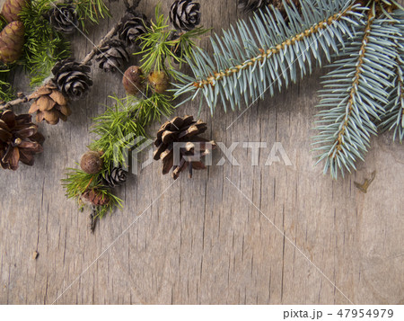 Pine cones  on a wooden background. 47954979