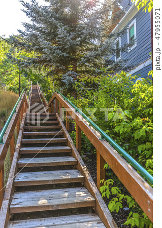 Public stairs in houseing area going uphill Public stairs in houseing area going uphill 47955071