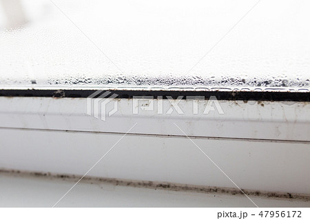 mold on a foggy plastic window of white color. 47956172