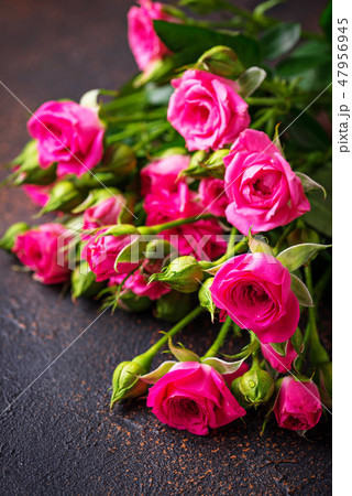 Pink roses on brown background Pink roses on brown background 47956945