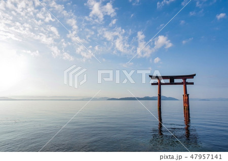 白鬚神社 白鬚神社 47957141