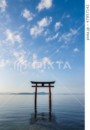 白鬚神社 白鬚神社 47957142