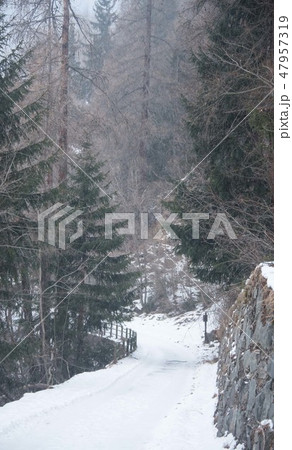 Mountain snowy road in the winter forest. 47957319