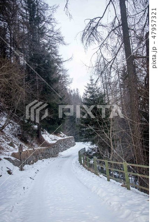 Mountain snowy road in the winter forest. 47957321