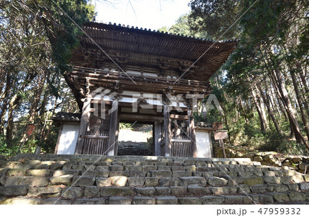 安土城跡 二王門 安土城跡 二王門 47959332