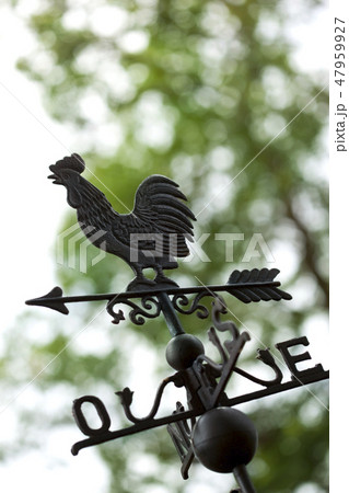 Weathercock in a park 47959927