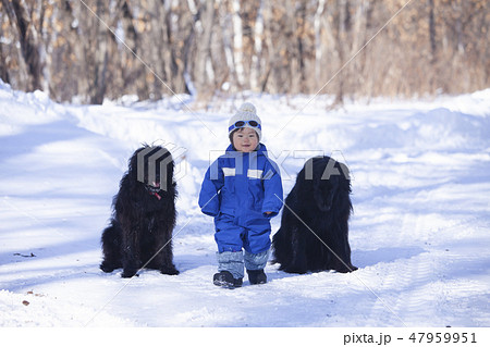 犬と遊ぶ男の子 犬と遊ぶ男の子 47959951