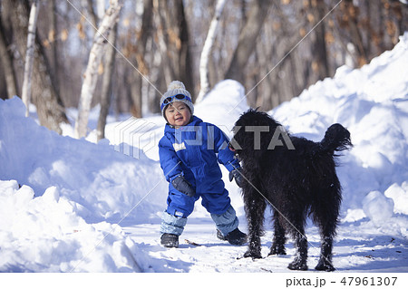 犬と遊ぶ男の子 47961307