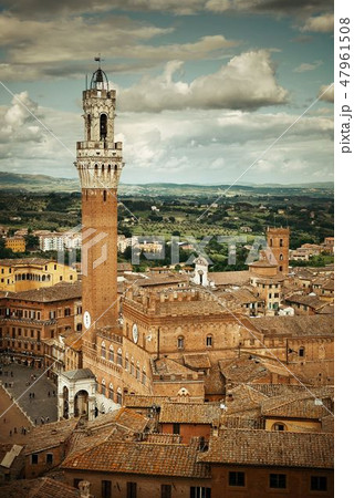 Siena bell tower 47961508