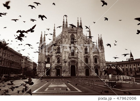 Milan Cathedral Square pigeon Milan Cathedral Square pigeon 47962006