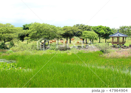 風景 観光 風 47964904