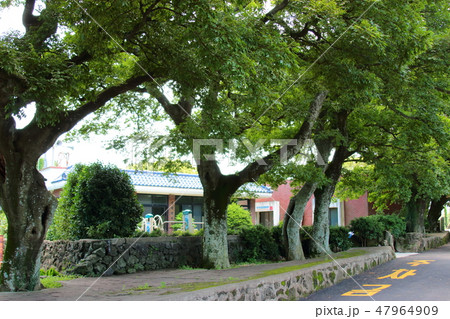 風景 観光 風 47964909