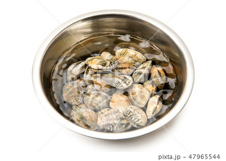 アサリ アサリ 47965544