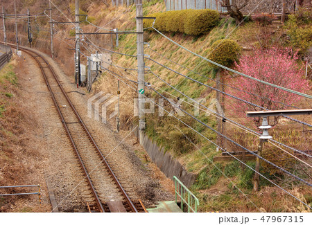 日向和田と石神前の間にある陸橋から見た青梅線の下り方面 47967315