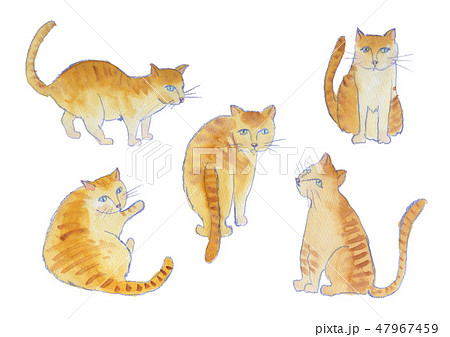 とらねこ 水彩のイラスト素材