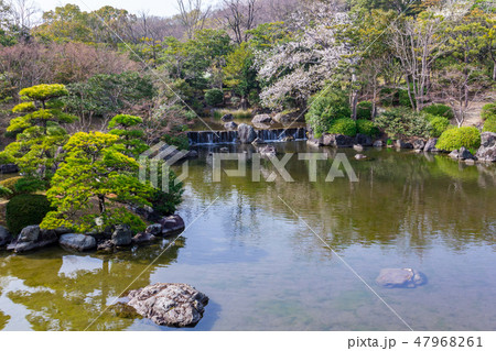 日本庭園の桜 日本庭園の桜 47968261