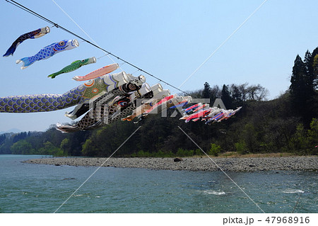 春の雫石川園地　鯉のぼり 47968916