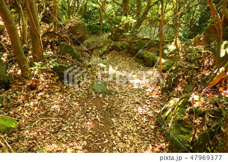 風景 観光 風 47969377