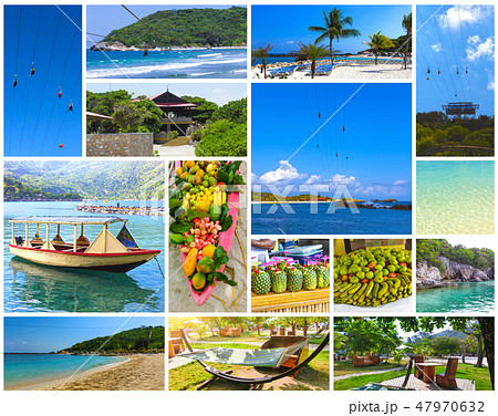 People are enjoying the Zipline 47970632